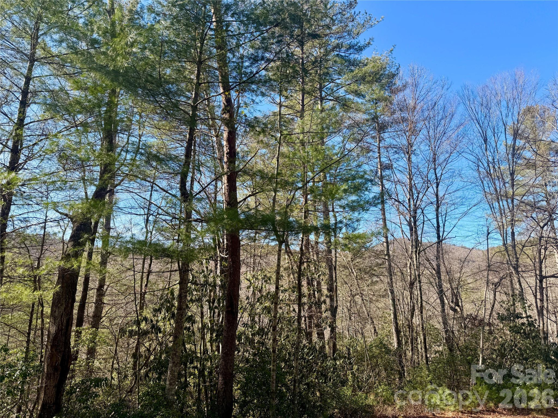 lots 35, 36 & 37 Fox Den Road #35,36,37 - Photo 10