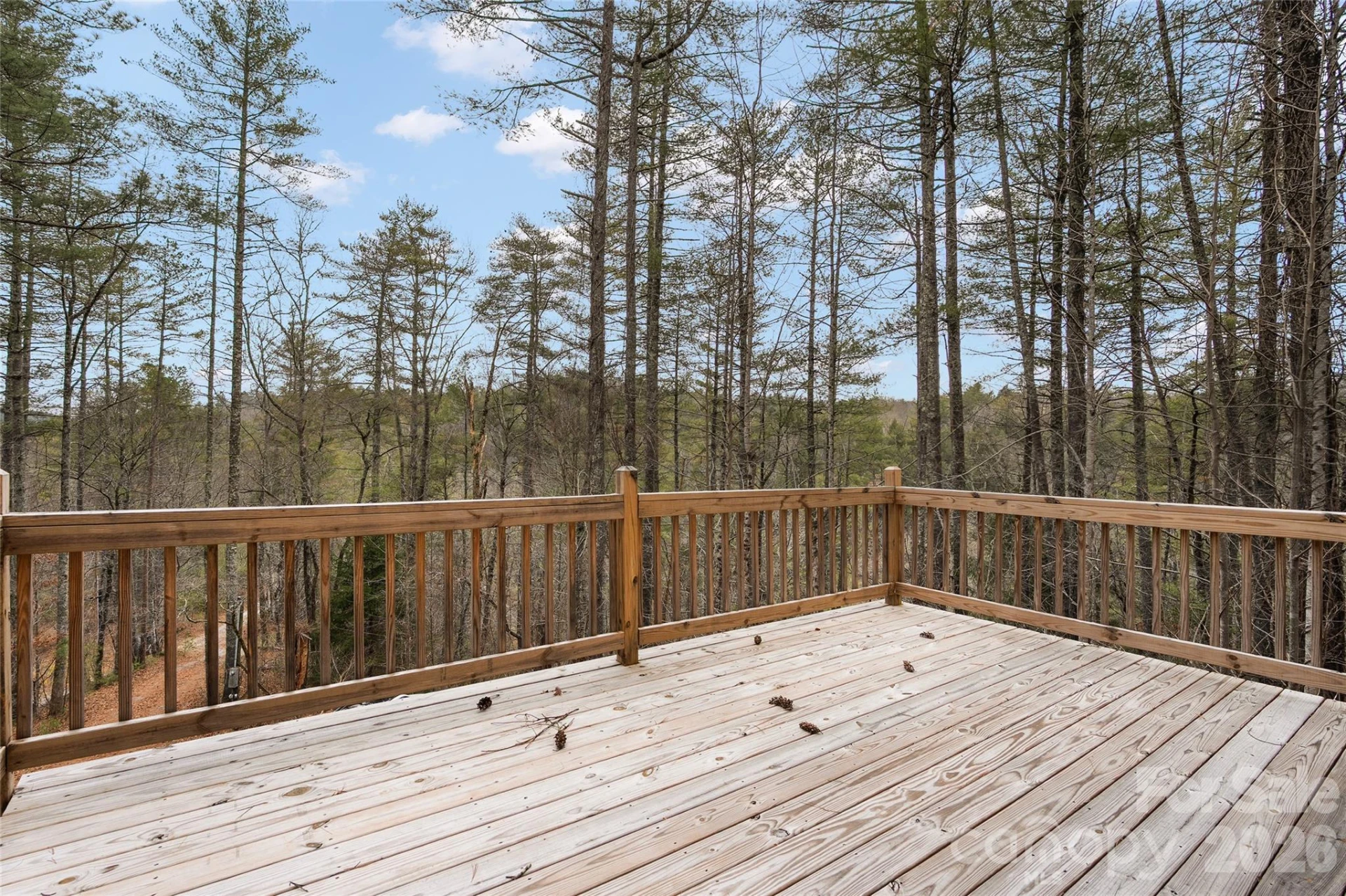 109 Tumblebug Trail Road - Photo 9