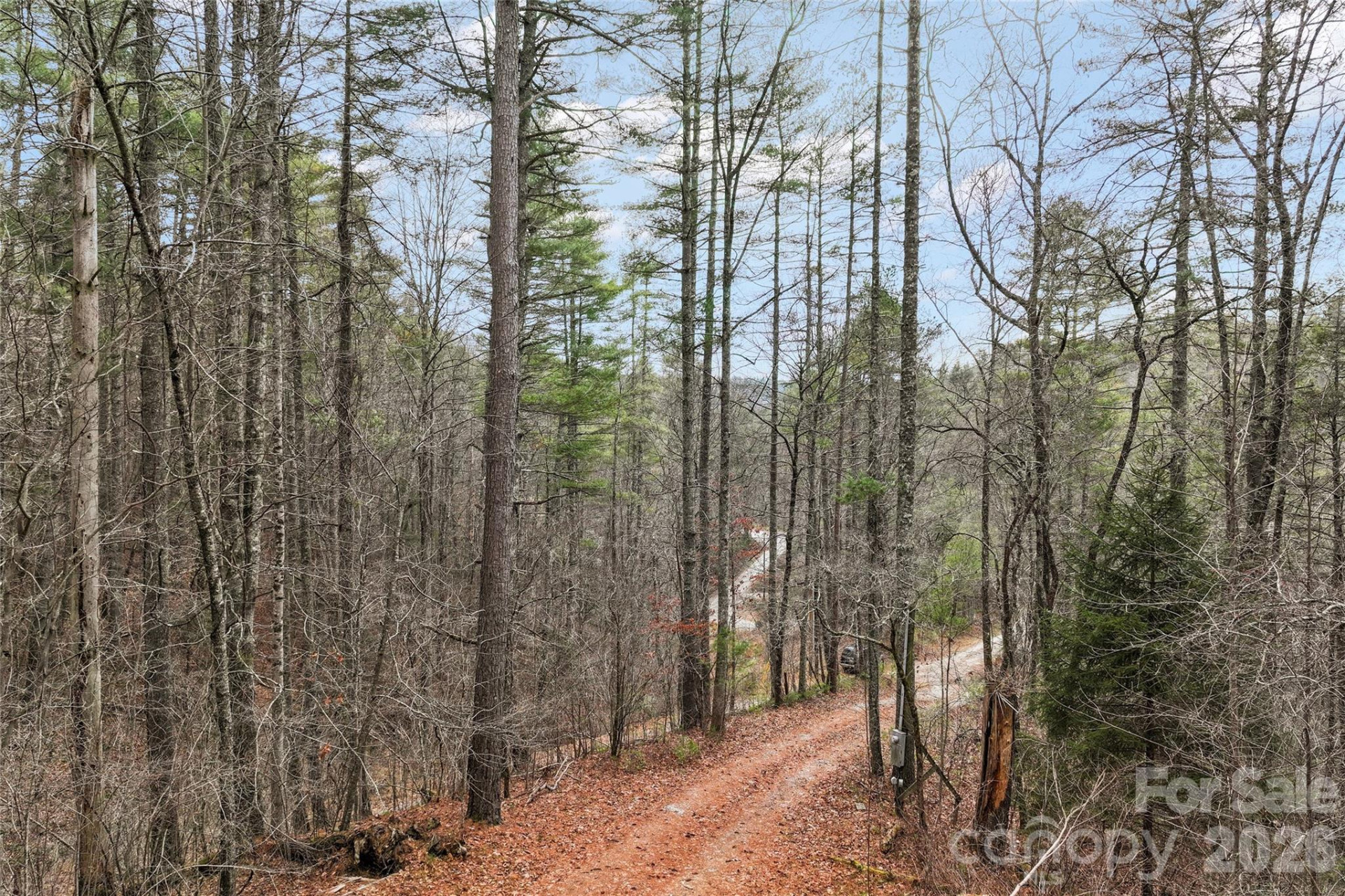 109 Tumblebug Trail Road - Photo 10