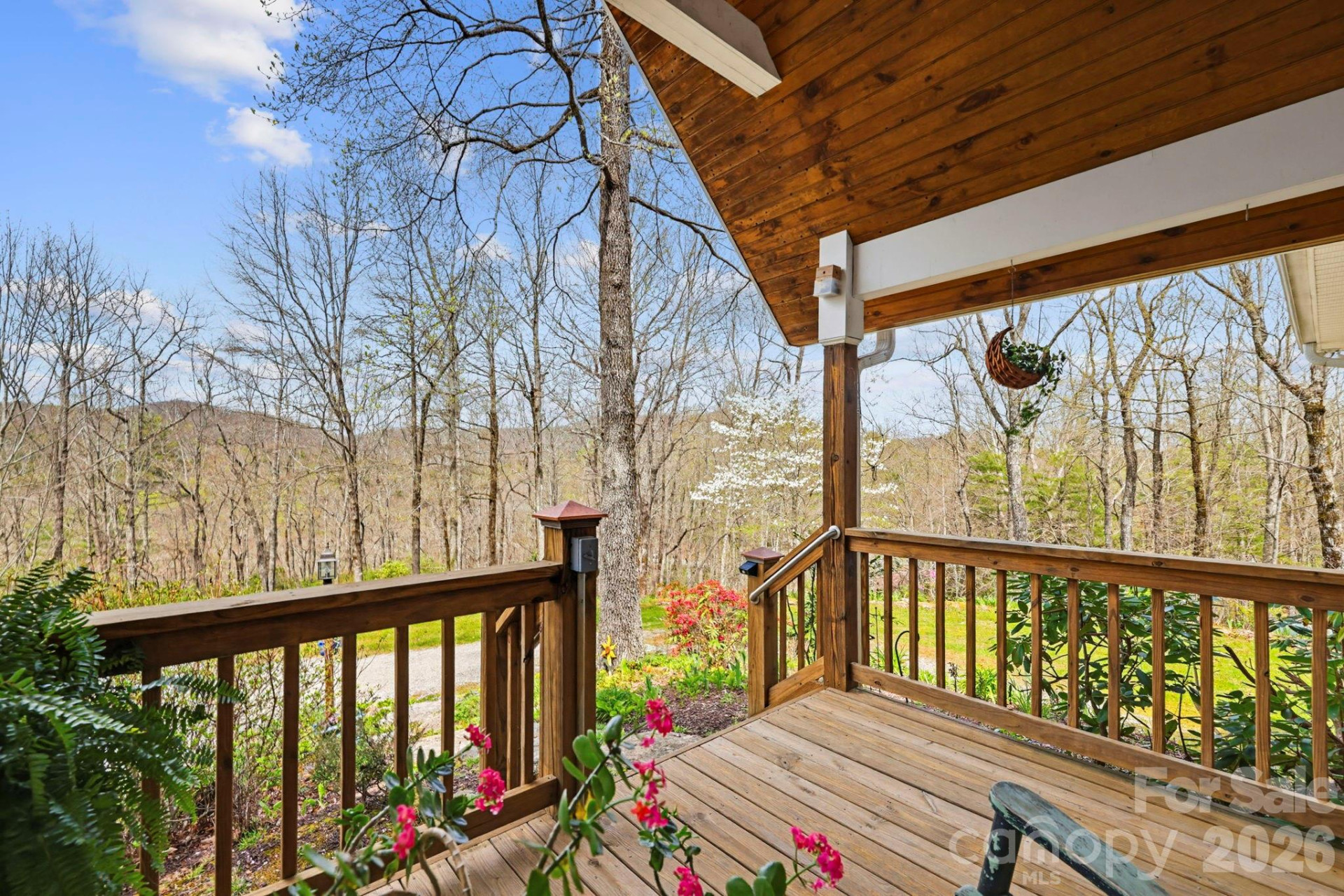 13705 Rosman Highway - Photo 8