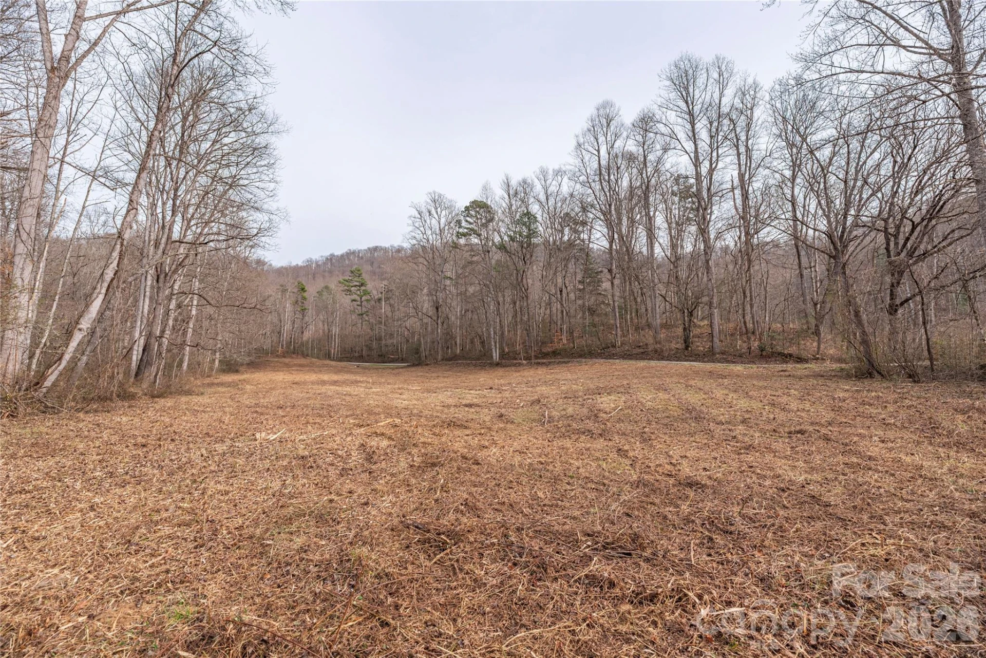 00 Carver Mountain Valley