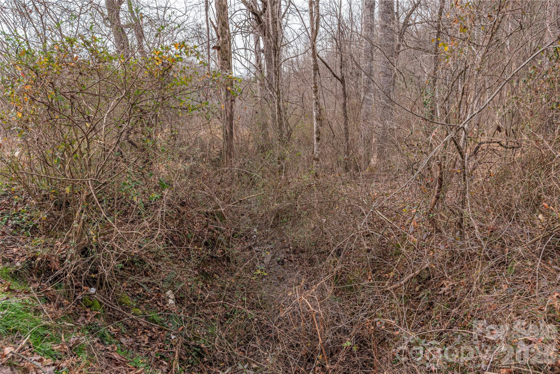 00 Carver Mountain Valley - Photo 12