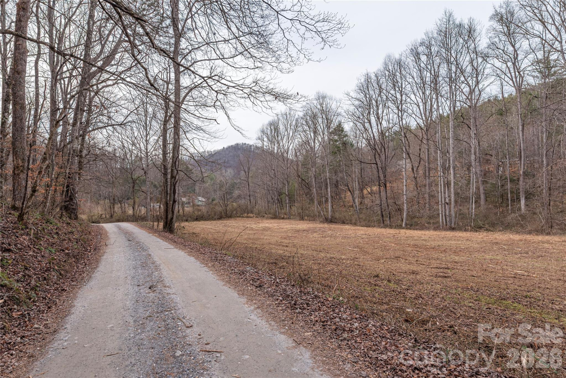 00 Carver Mountain Valley - Photo 14