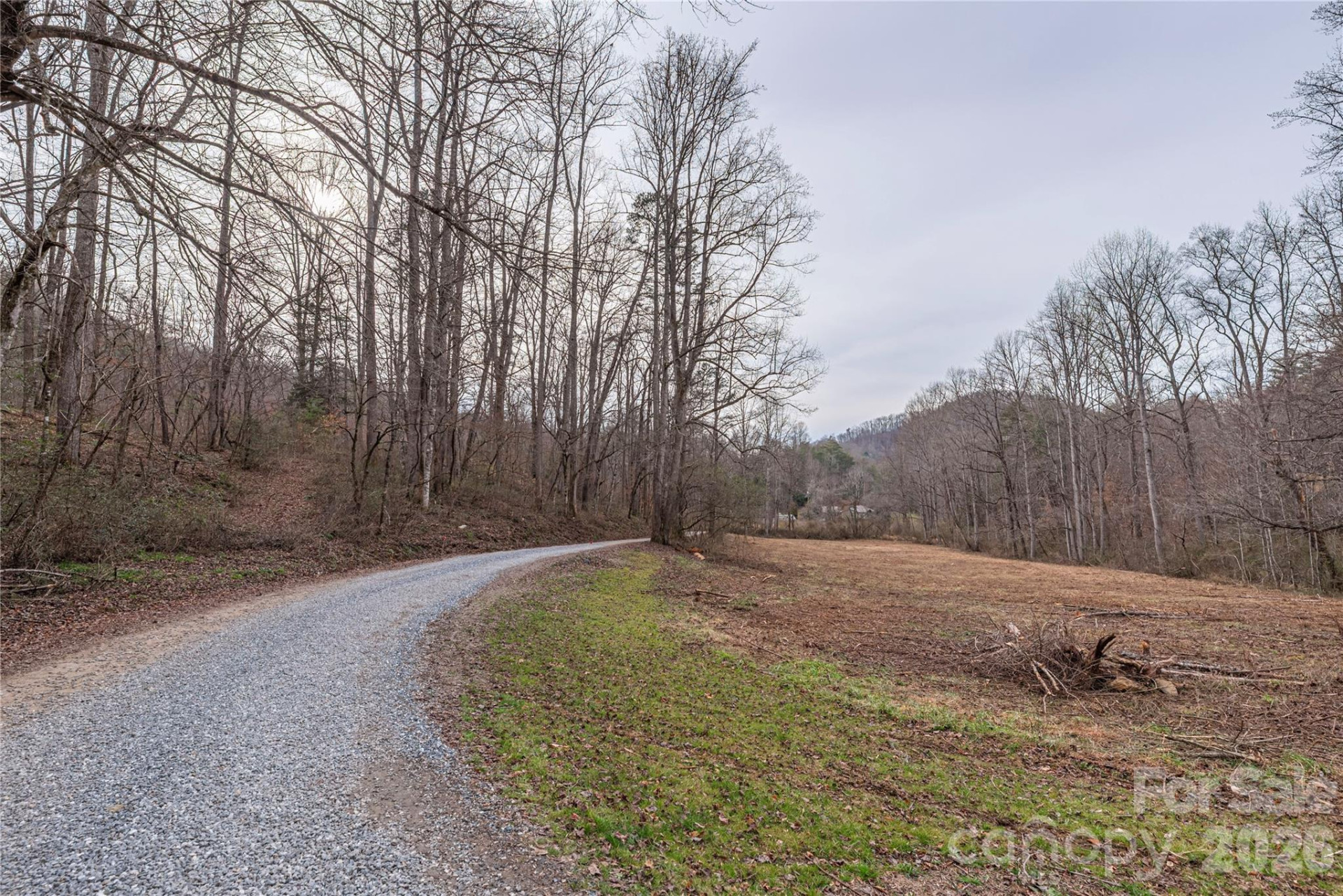 00 Carver Mountain Valley - Photo 15