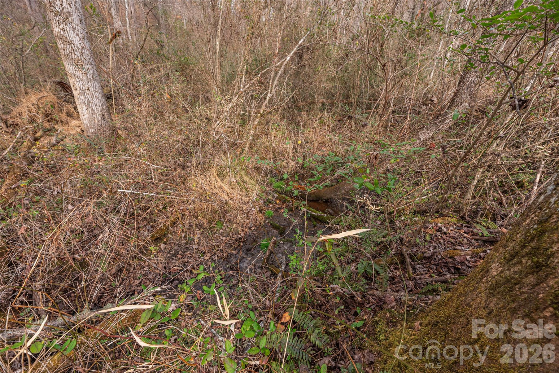 00 Carver Mountain Valley - Photo 16