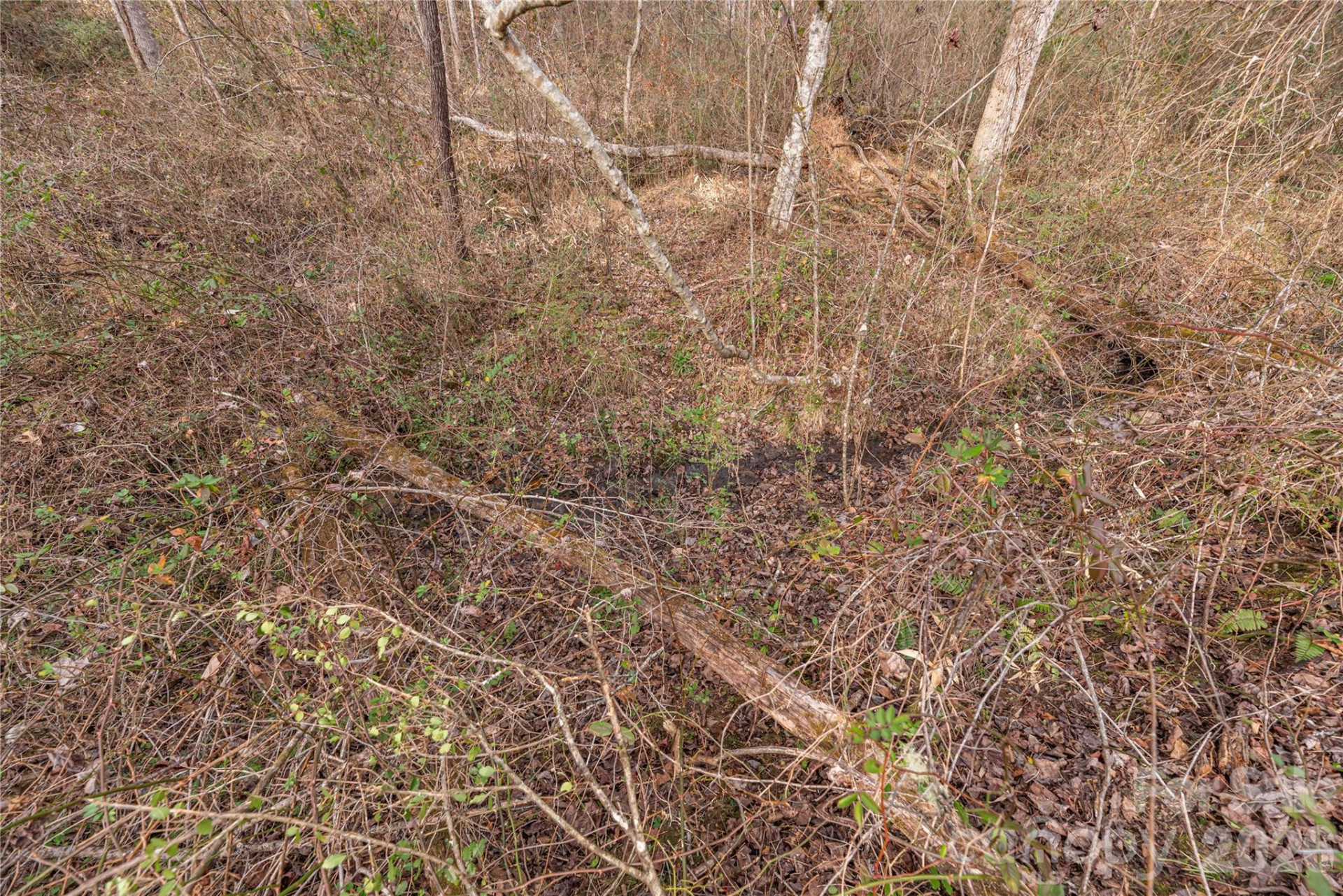 00 Carver Mountain Valley - Photo 17