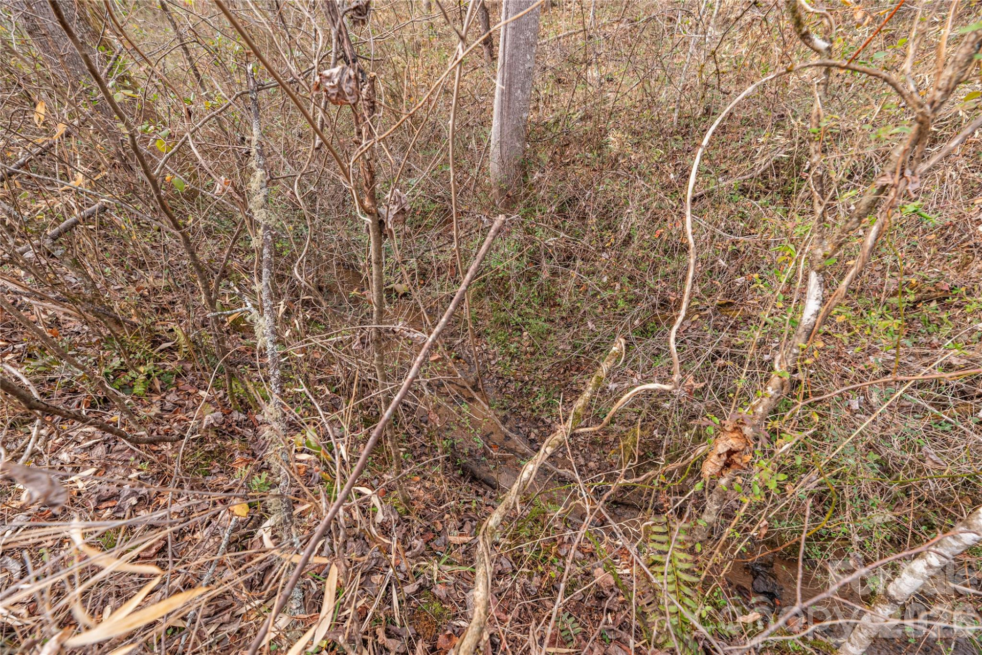 00 Carver Mountain Valley - Photo 18