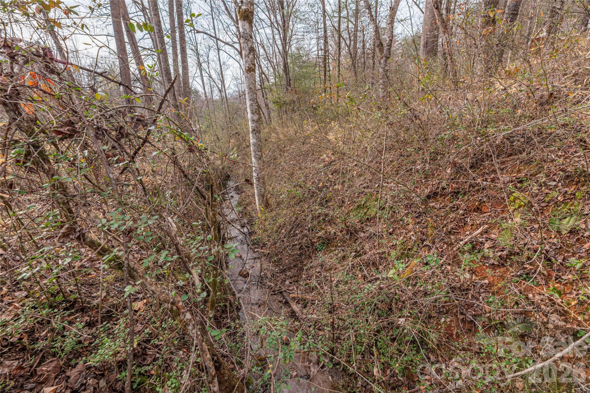 00 Carver Mountain Valley - Photo 3