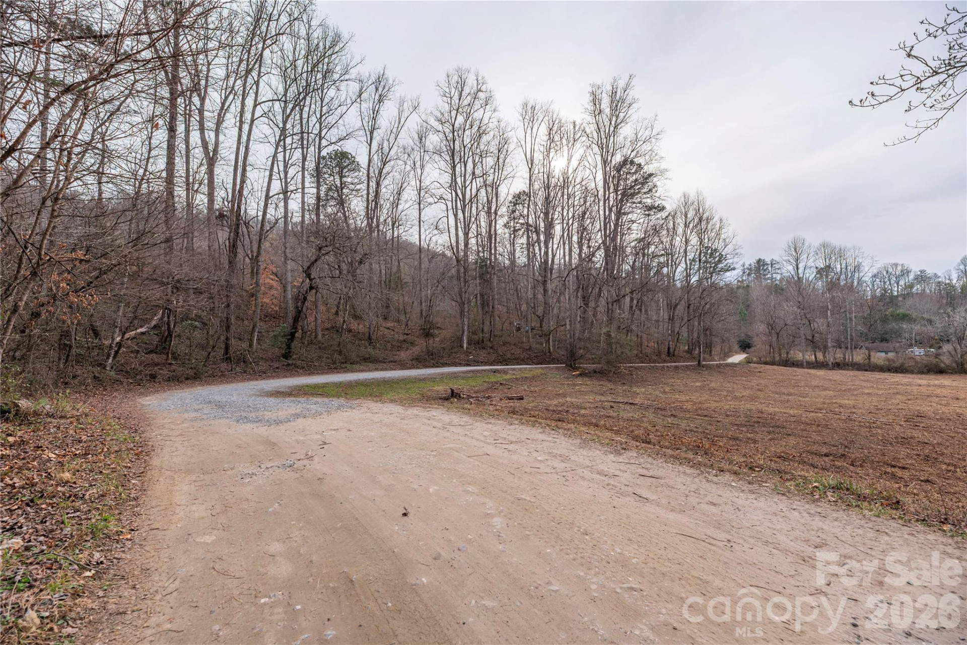 00 Carver Mountain Valley - Photo 4