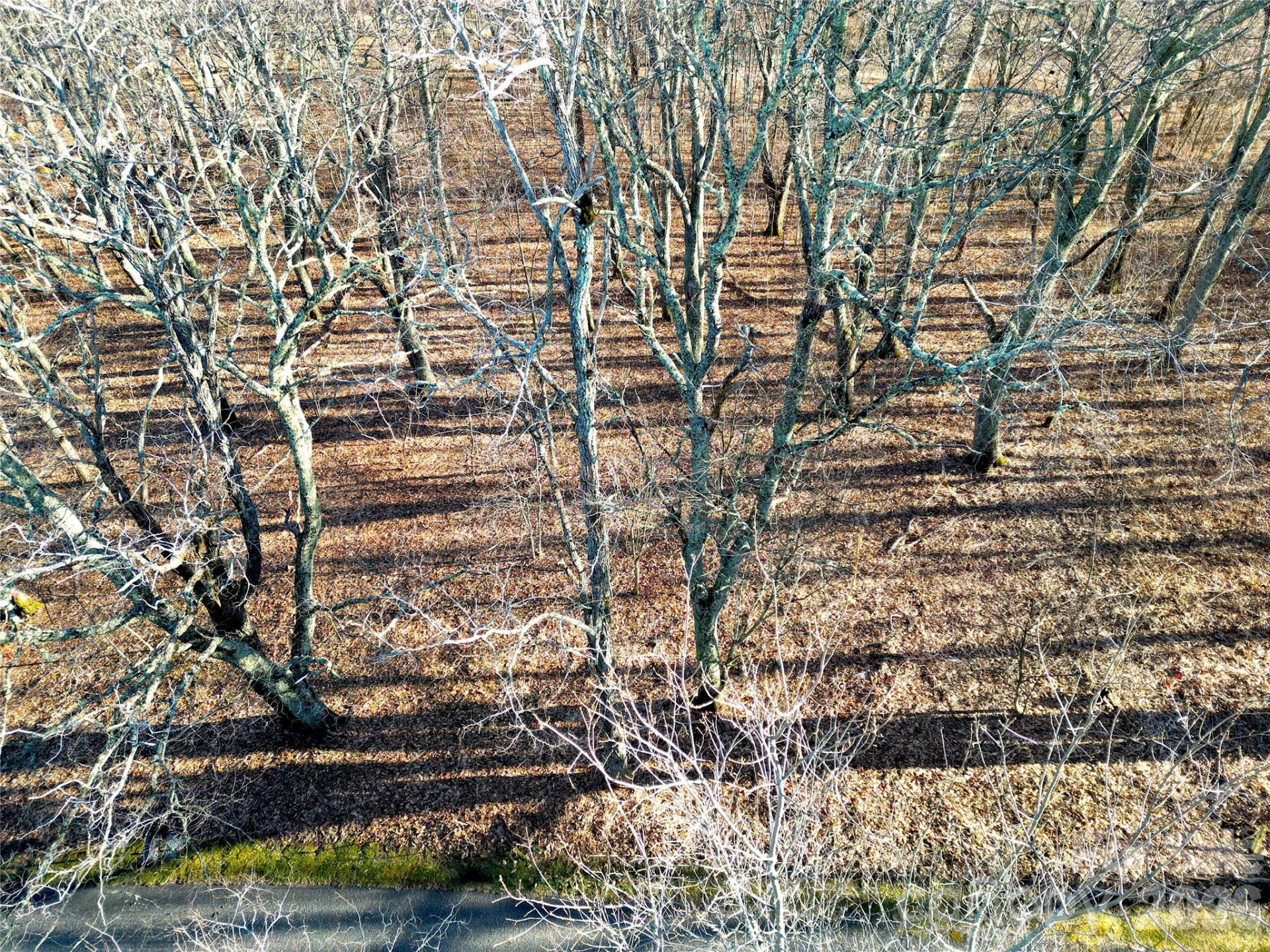 114 Eagle View Circle - Photo 2