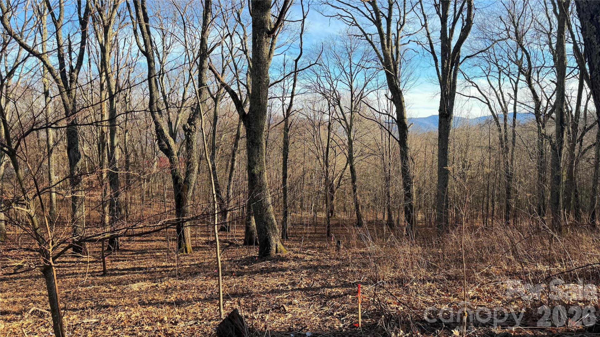 114 Eagle View Circle - Photo 11