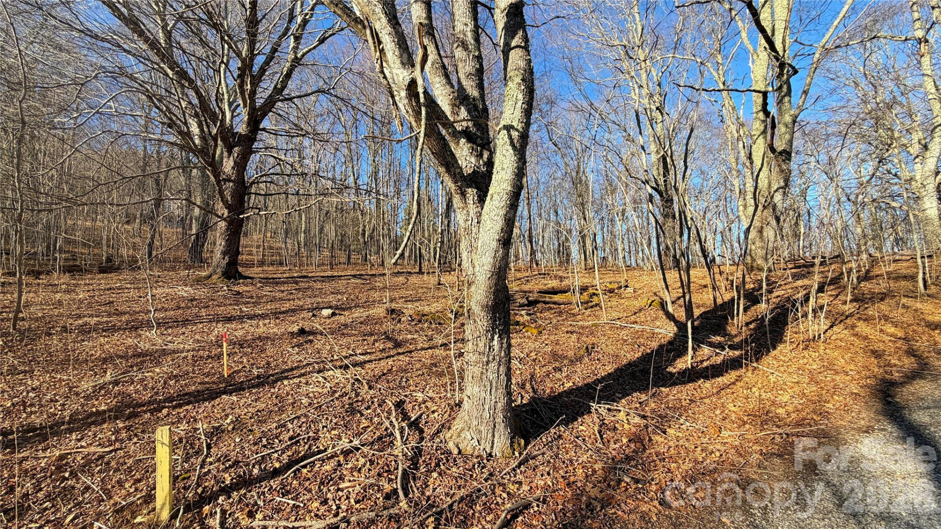 114 Eagle View Circle - Photo 18