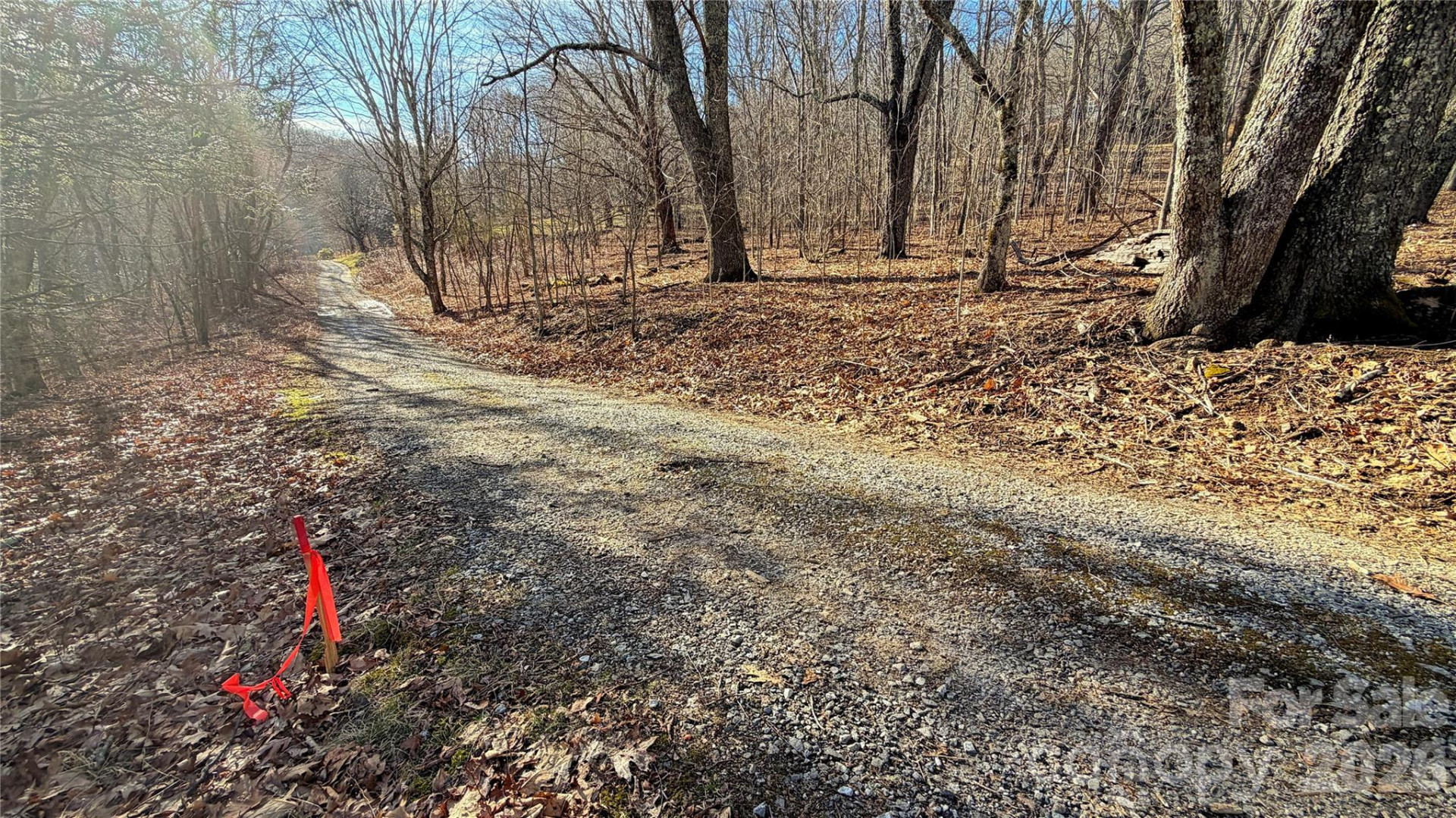 114 Eagle View Circle - Photo 19