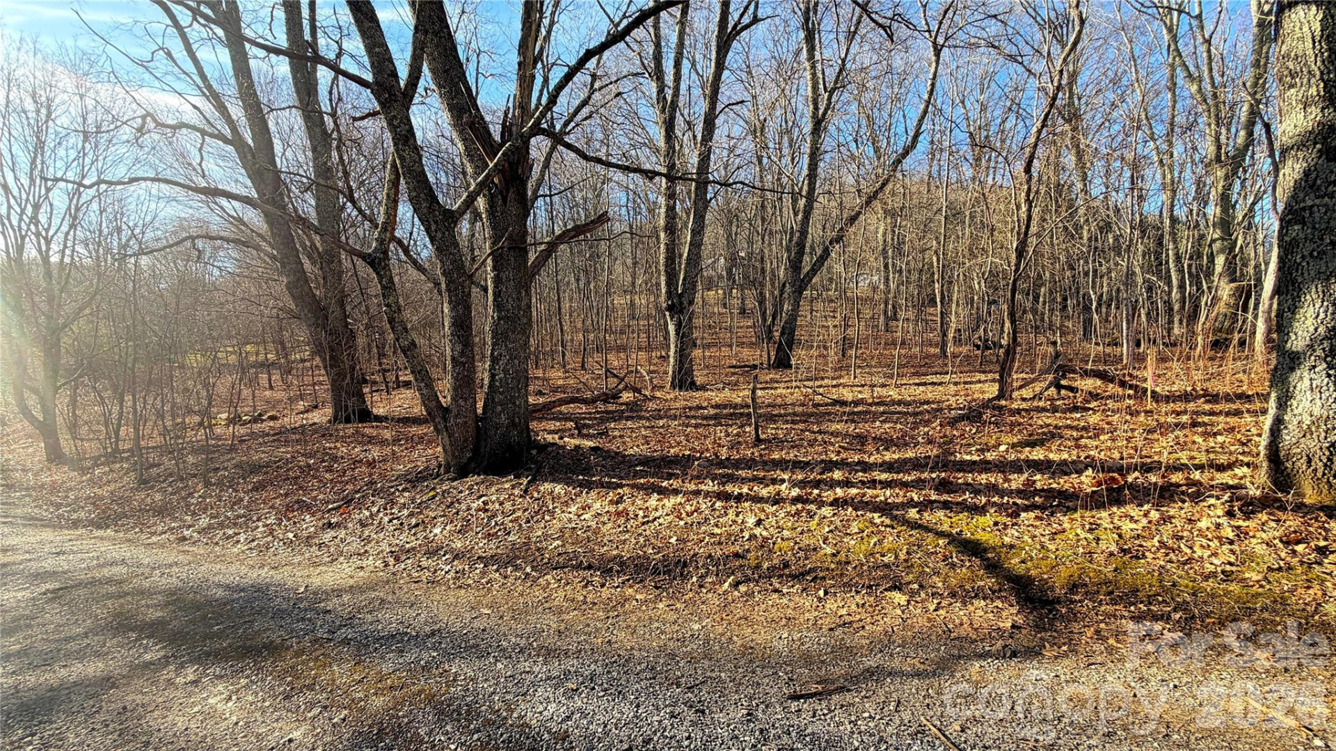 114 Eagle View Circle - Photo 20