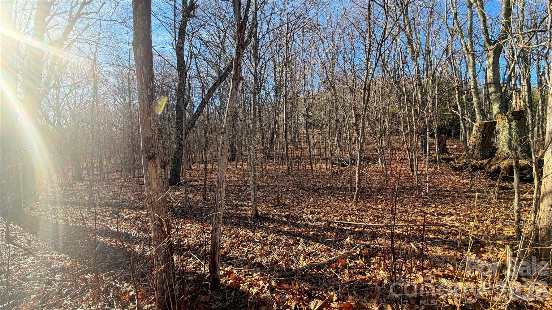 114 Eagle View Circle - Photo 21