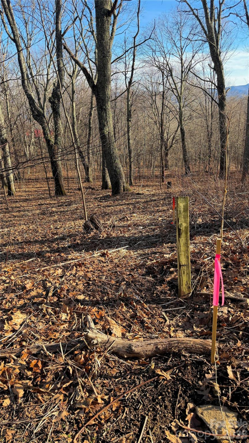 114 Eagle View Circle - Photo 23