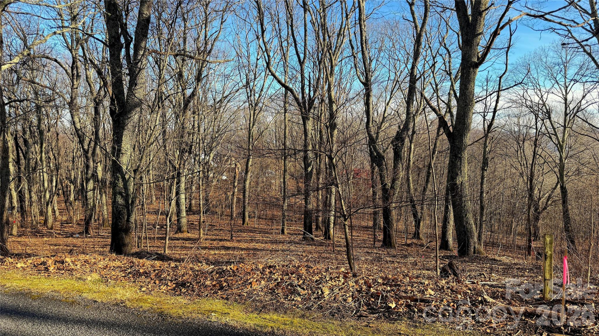 114 Eagle View Circle - Photo 24