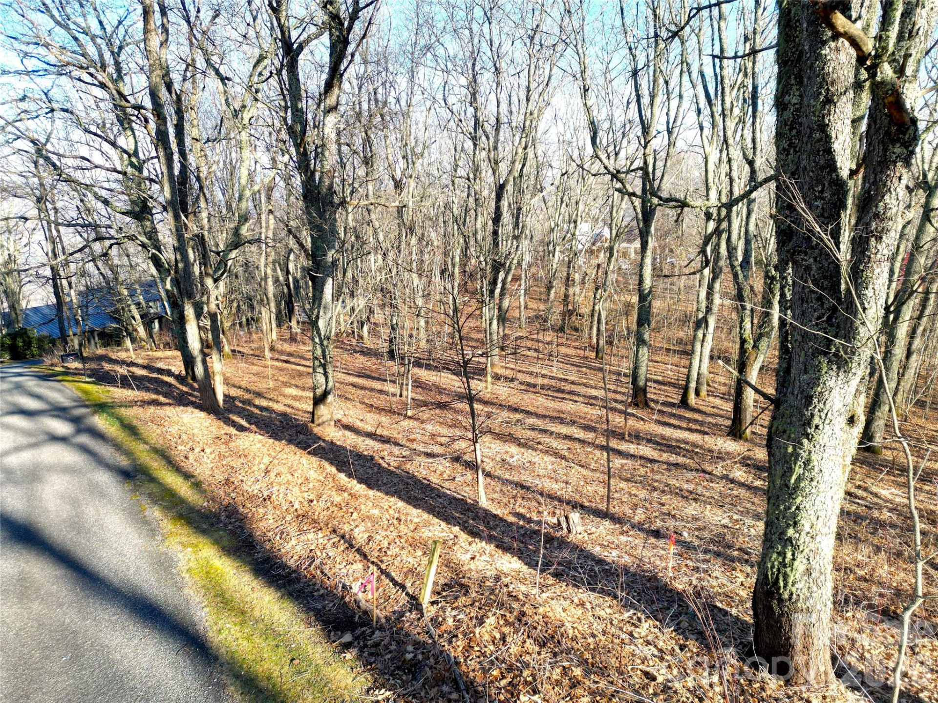 114 Eagle View Circle - Photo 4