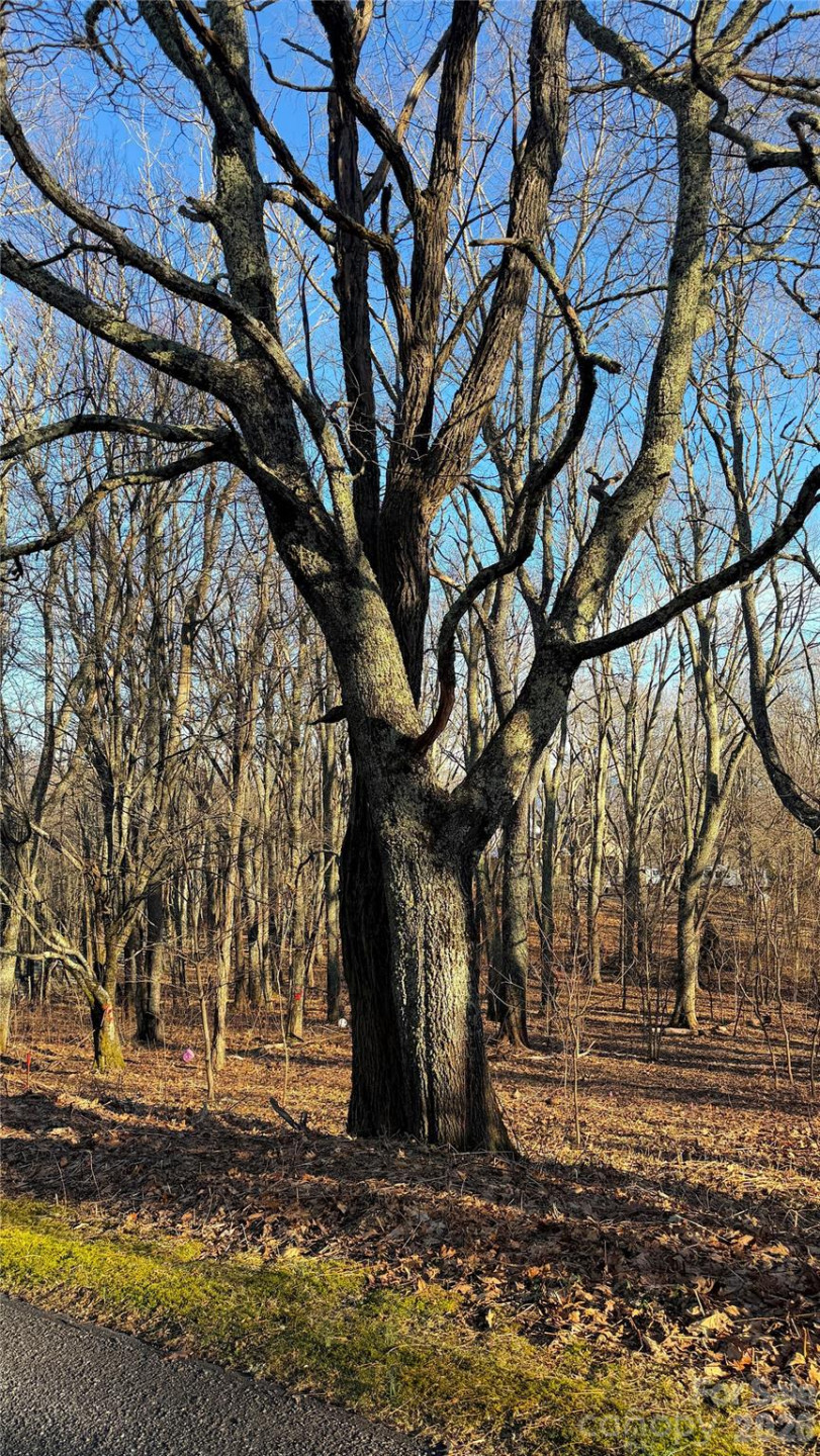 114 Eagle View Circle - Photo 6