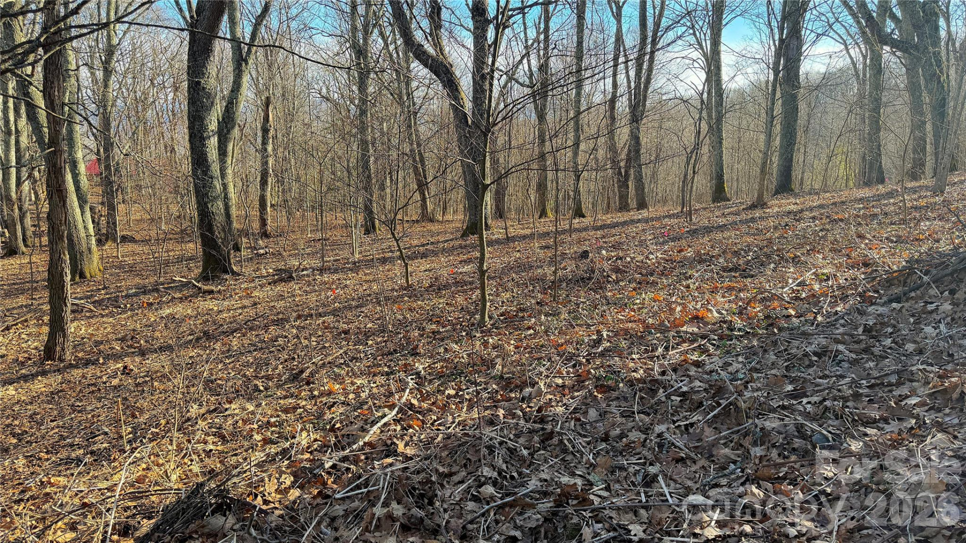 114 Eagle View Circle - Photo 8