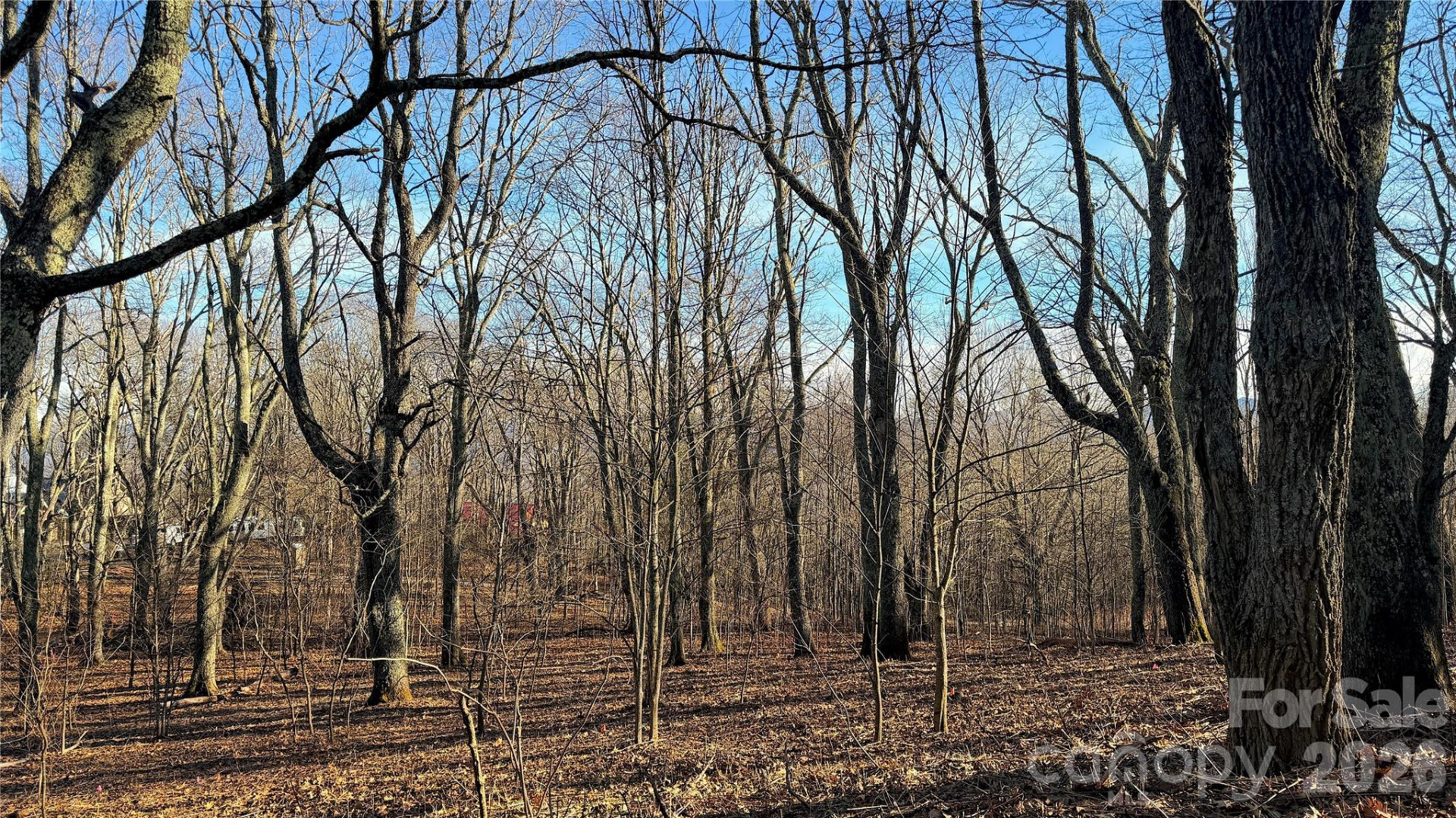 114 Eagle View Circle - Photo 10