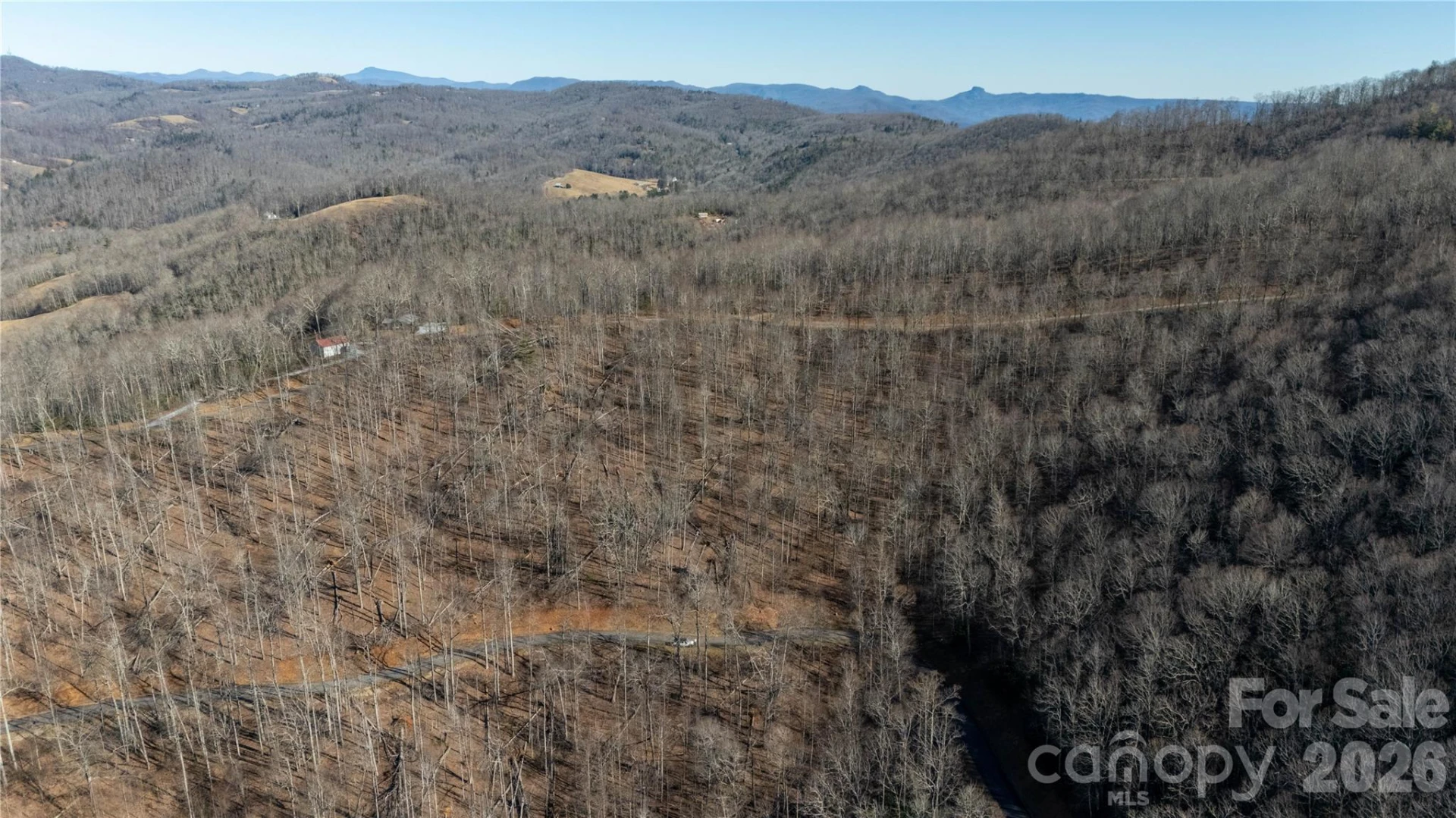 000 Rainbow Trout Drive - Photo 2