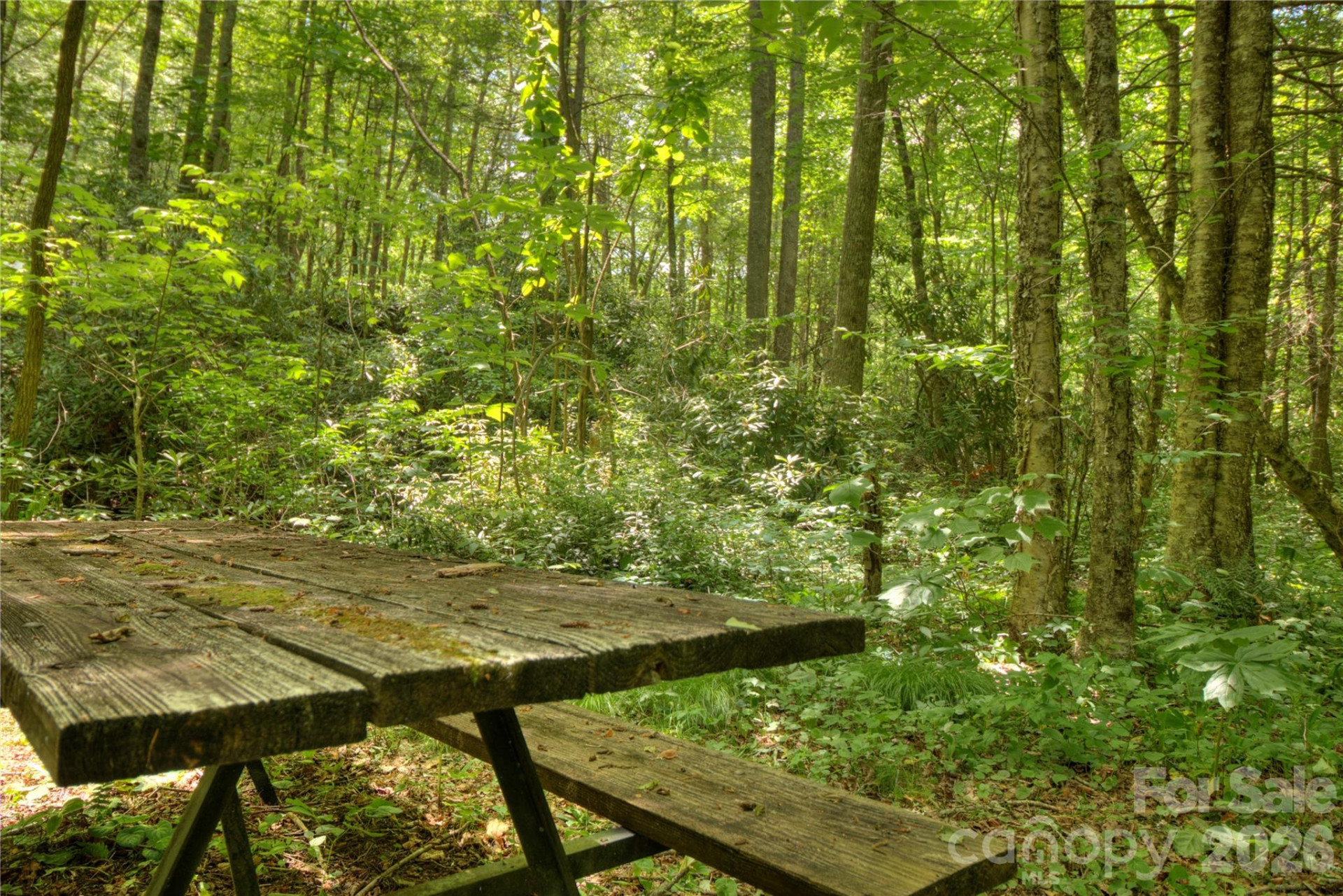 000 Rainbow Trout Drive - Photo 16