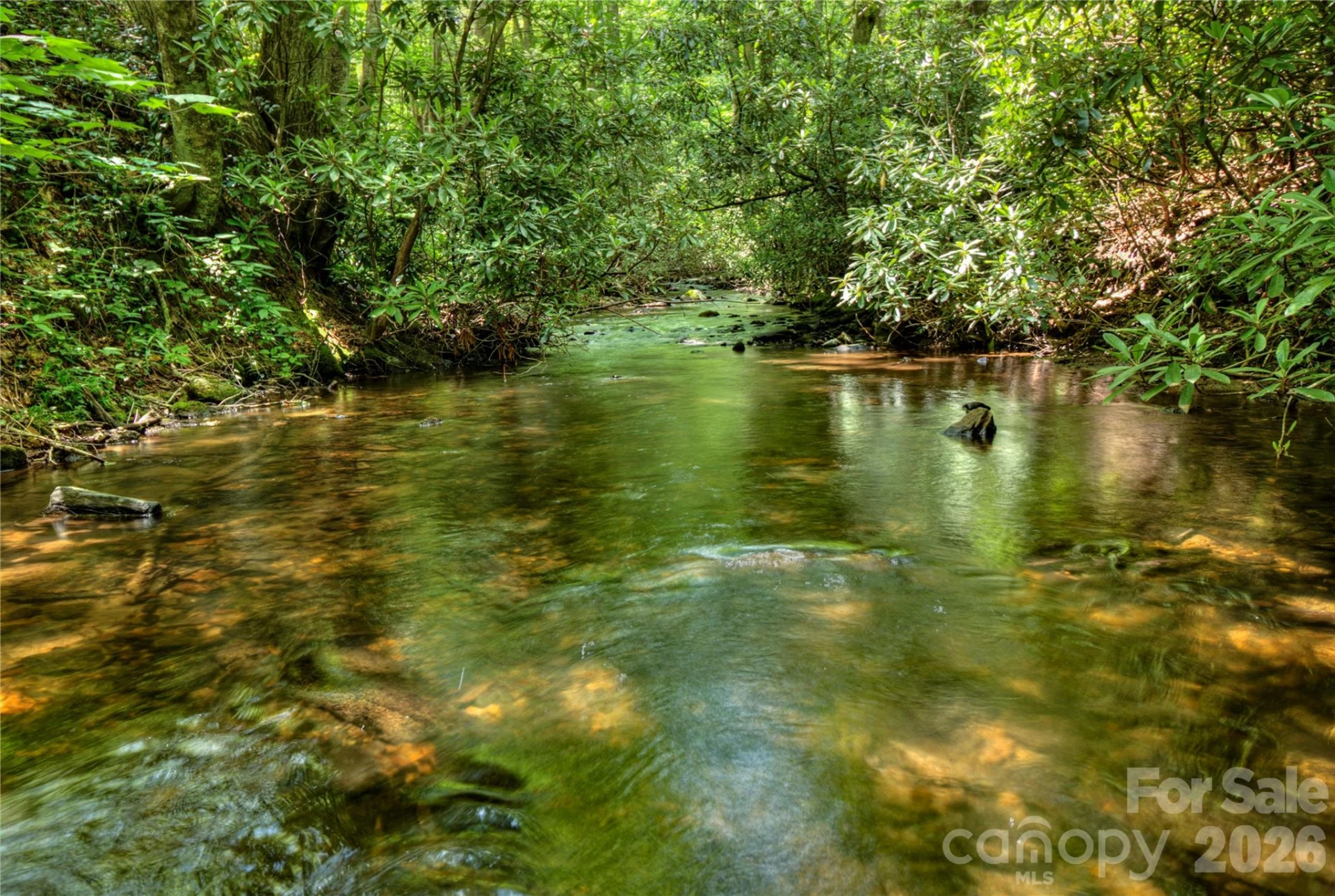 000 Rainbow Trout Drive - Photo 17