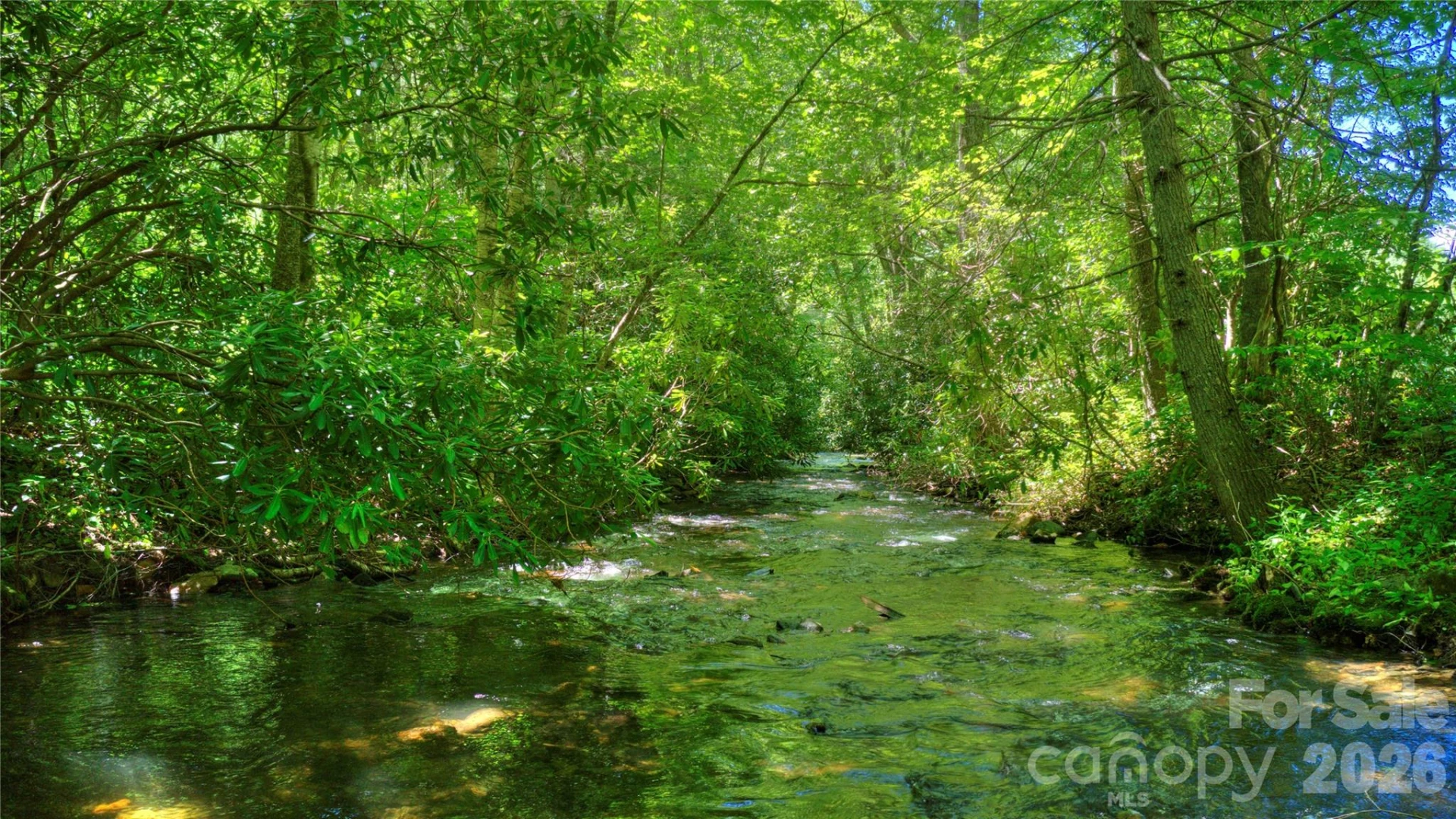 000 Rainbow Trout Drive - Photo 18