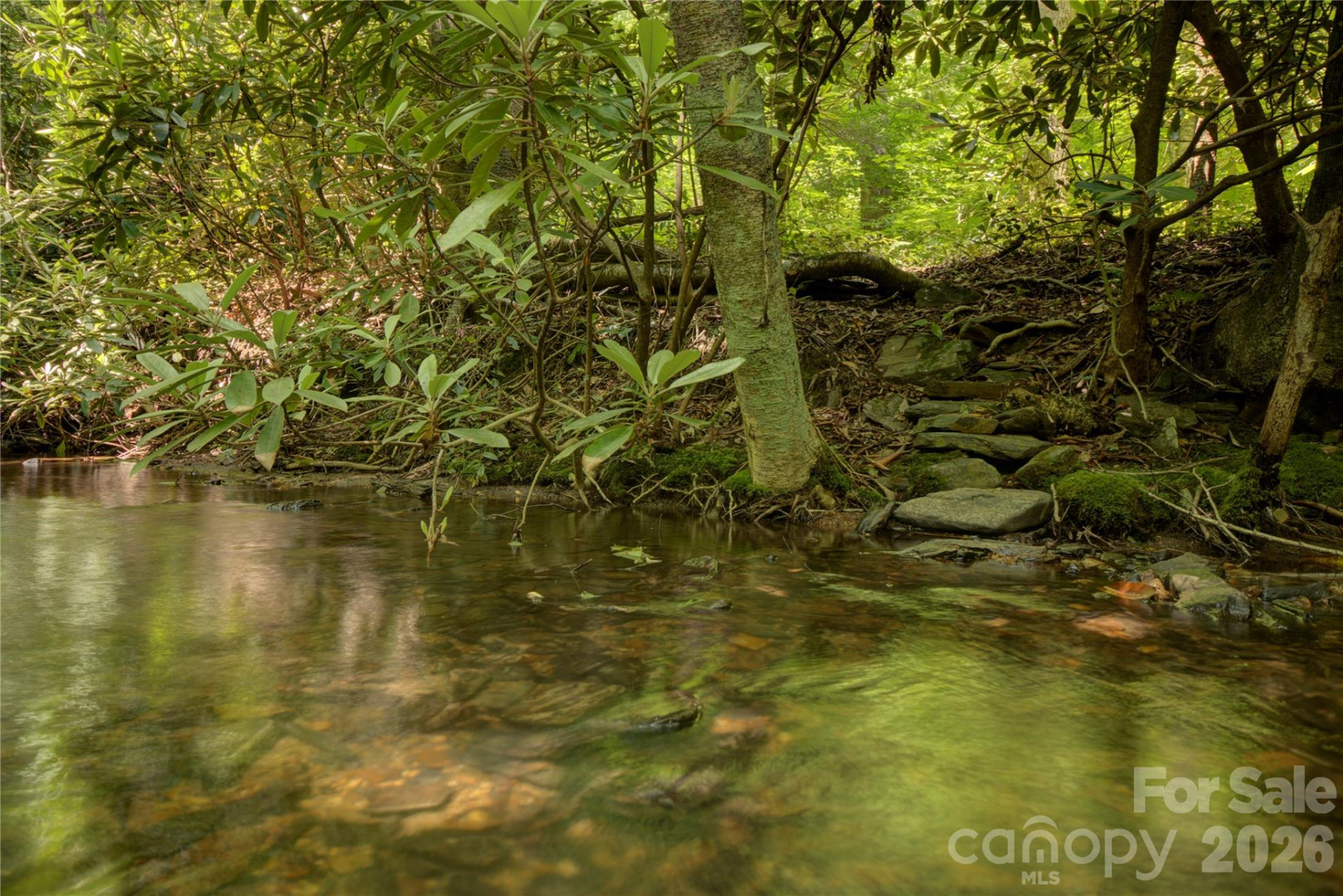 000 Rainbow Trout Drive - Photo 19