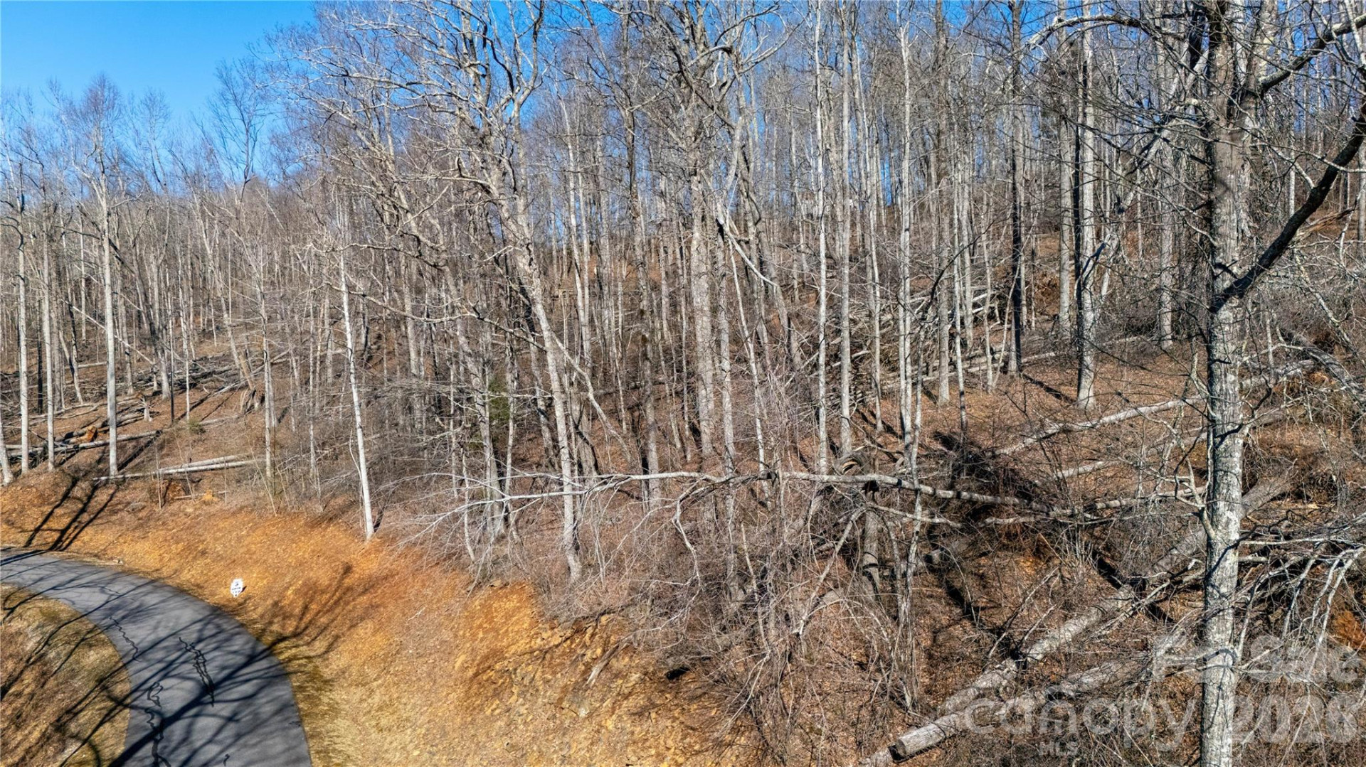 000 Rainbow Trout Drive - Photo 4