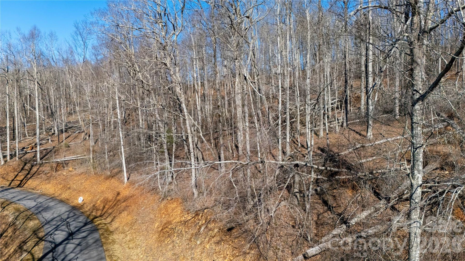 000 Rainbow Trout Drive - Photo 4