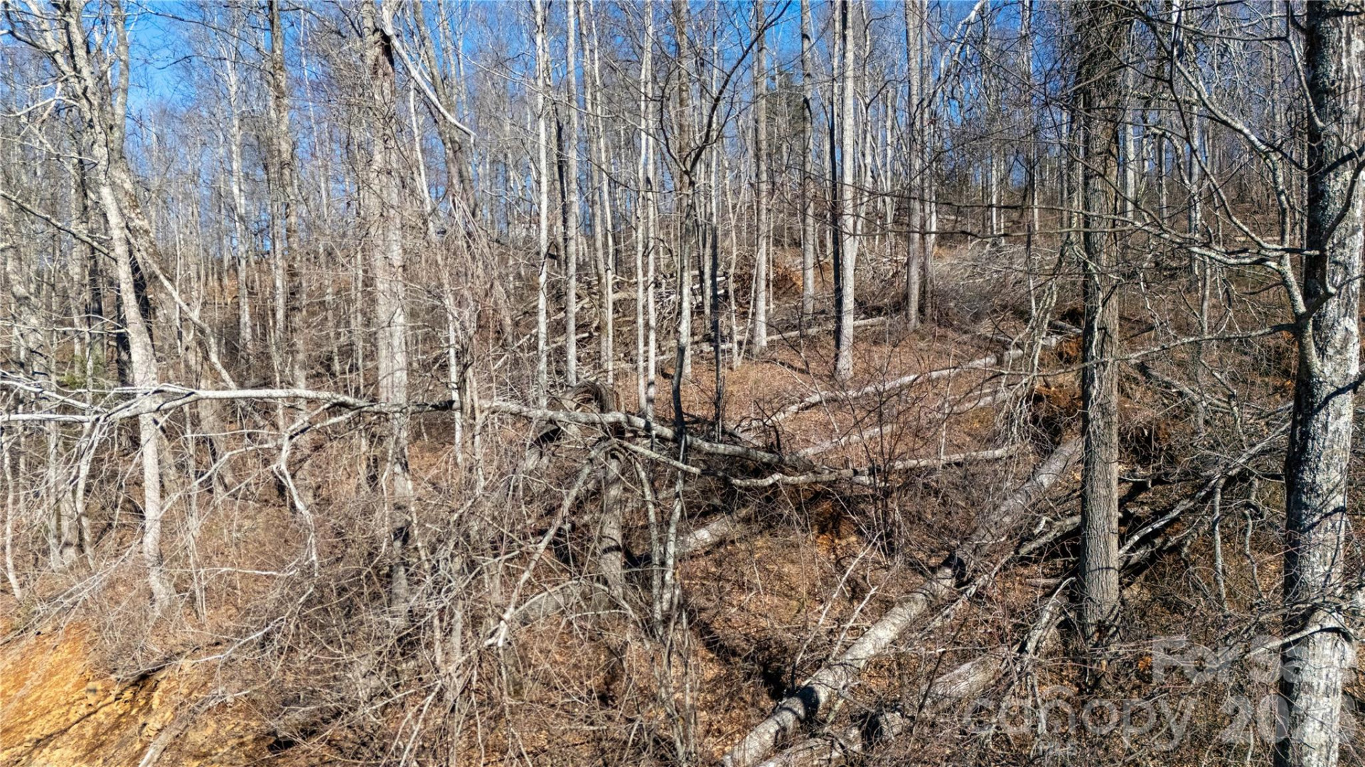 000 Rainbow Trout Drive - Photo 6