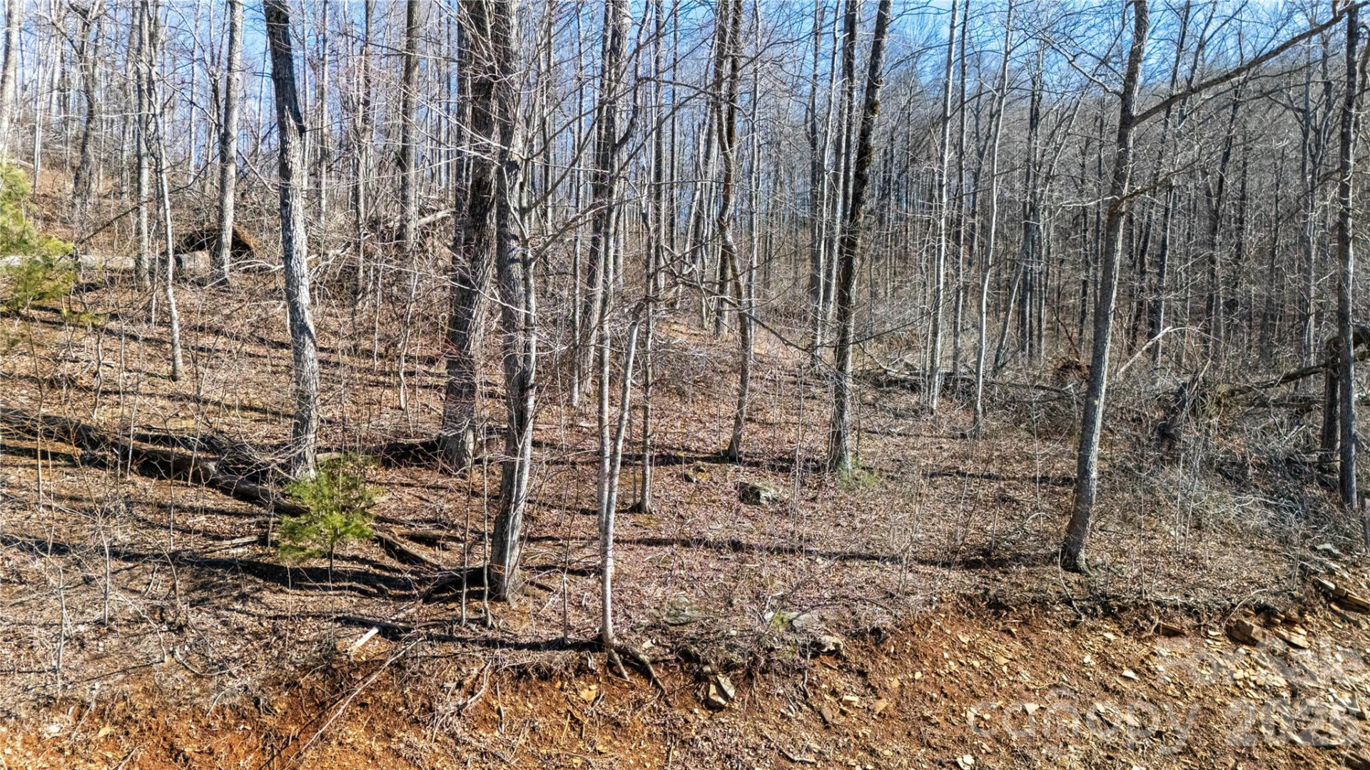 000 Rainbow Trout Drive - Photo 7