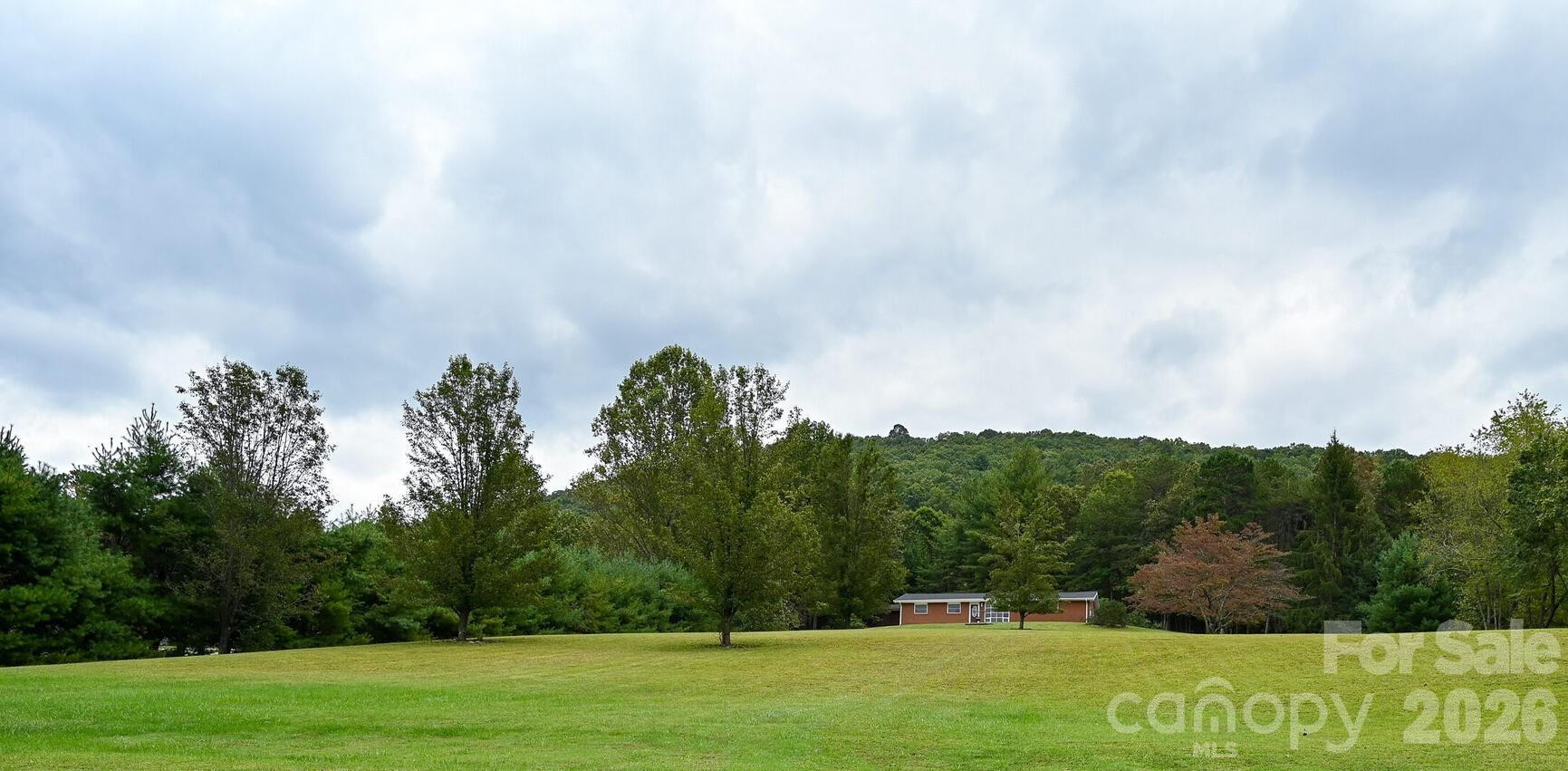 651 Case Cove Road - Photo 44