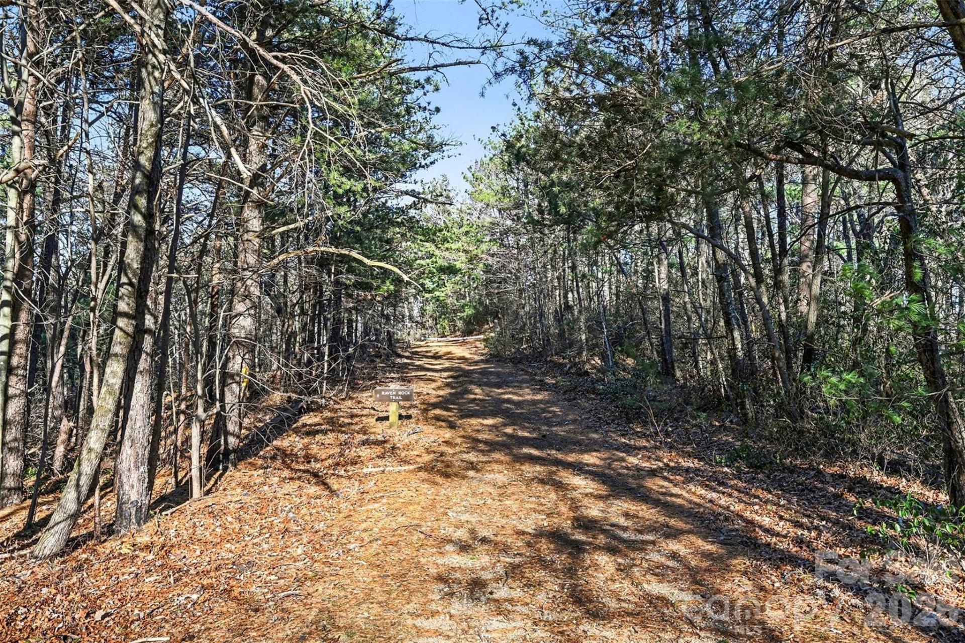 3181 Shag Bark Road - Photo 33