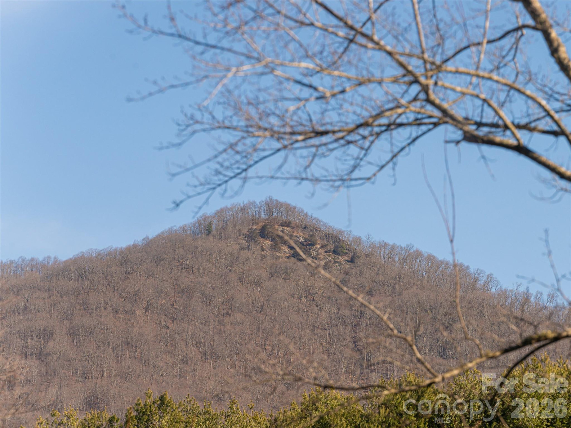 2 Bent Tree Drive - Photo 5