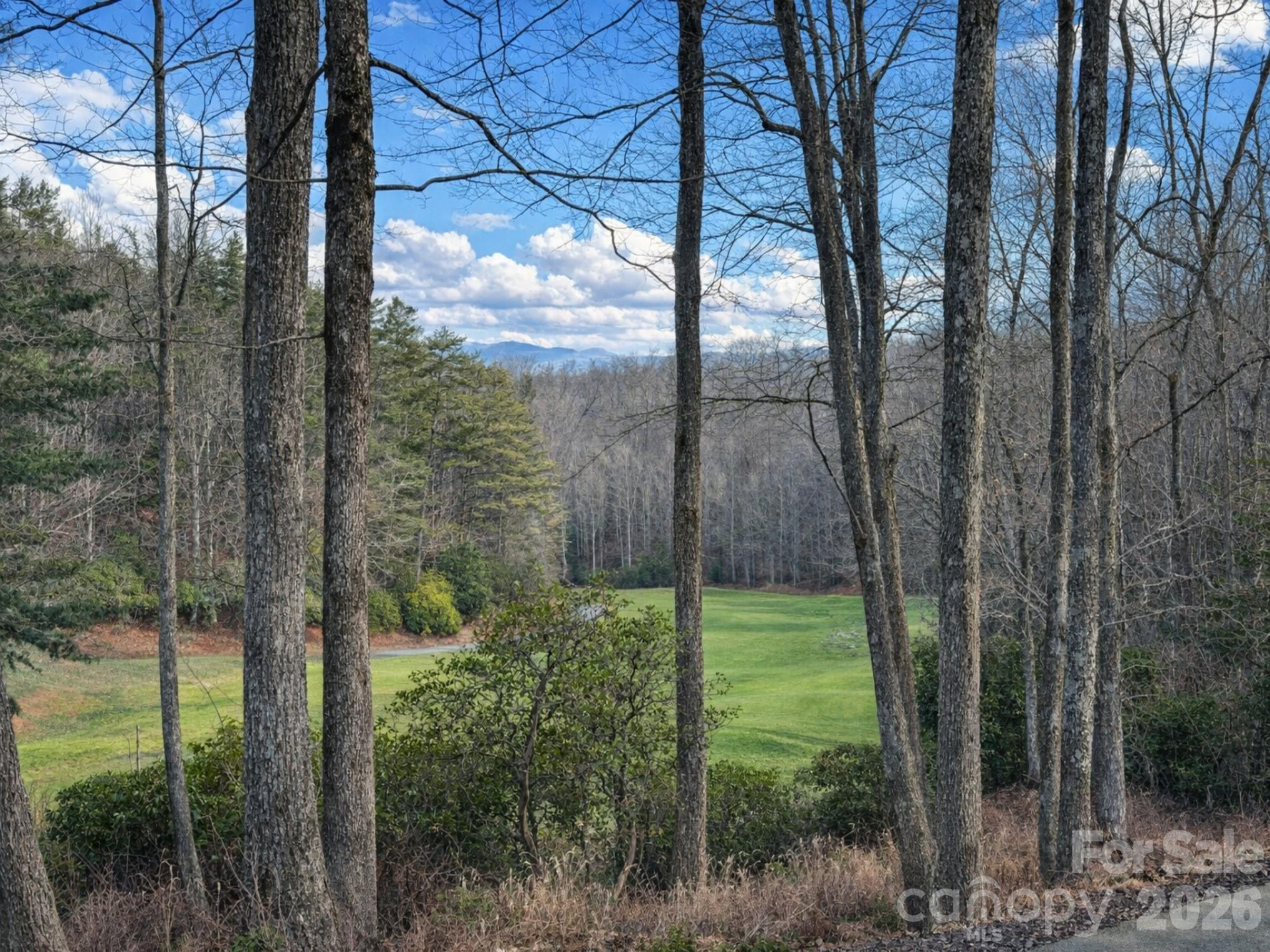 19 Cheestoonaya Way #25 - Photo 6