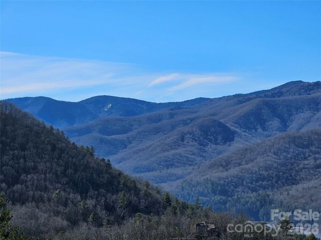 000 Blue Vista Road, Canton, NC, 28716