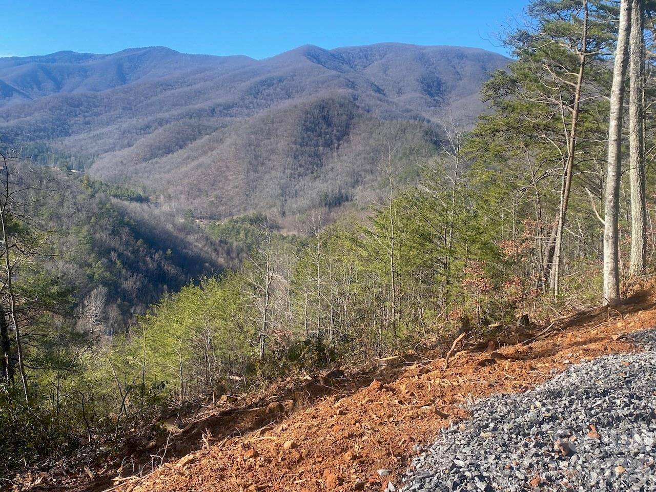 000 Blue Vista Road - Photo 12