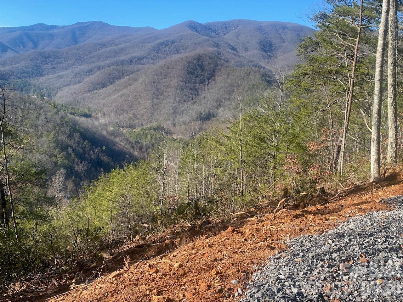 000 Blue Vista Road - Photo 13