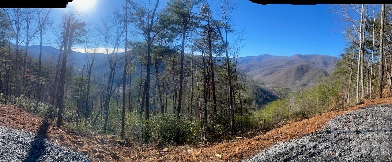 000 Blue Vista Road - Photo 14