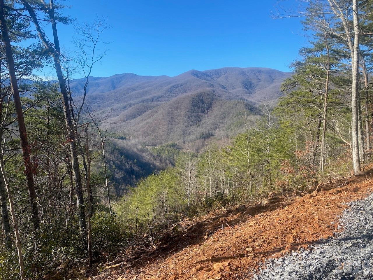 000 Blue Vista Road - Photo 16