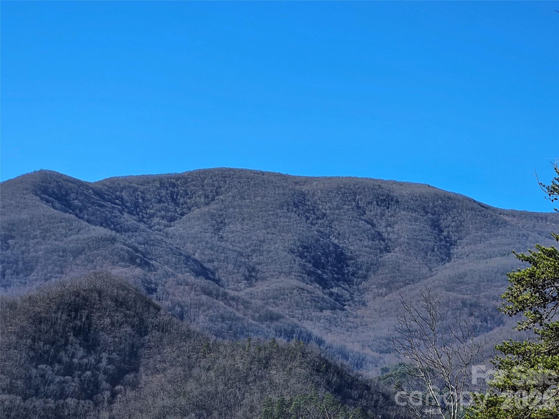 000 Blue Vista Road - Photo 3