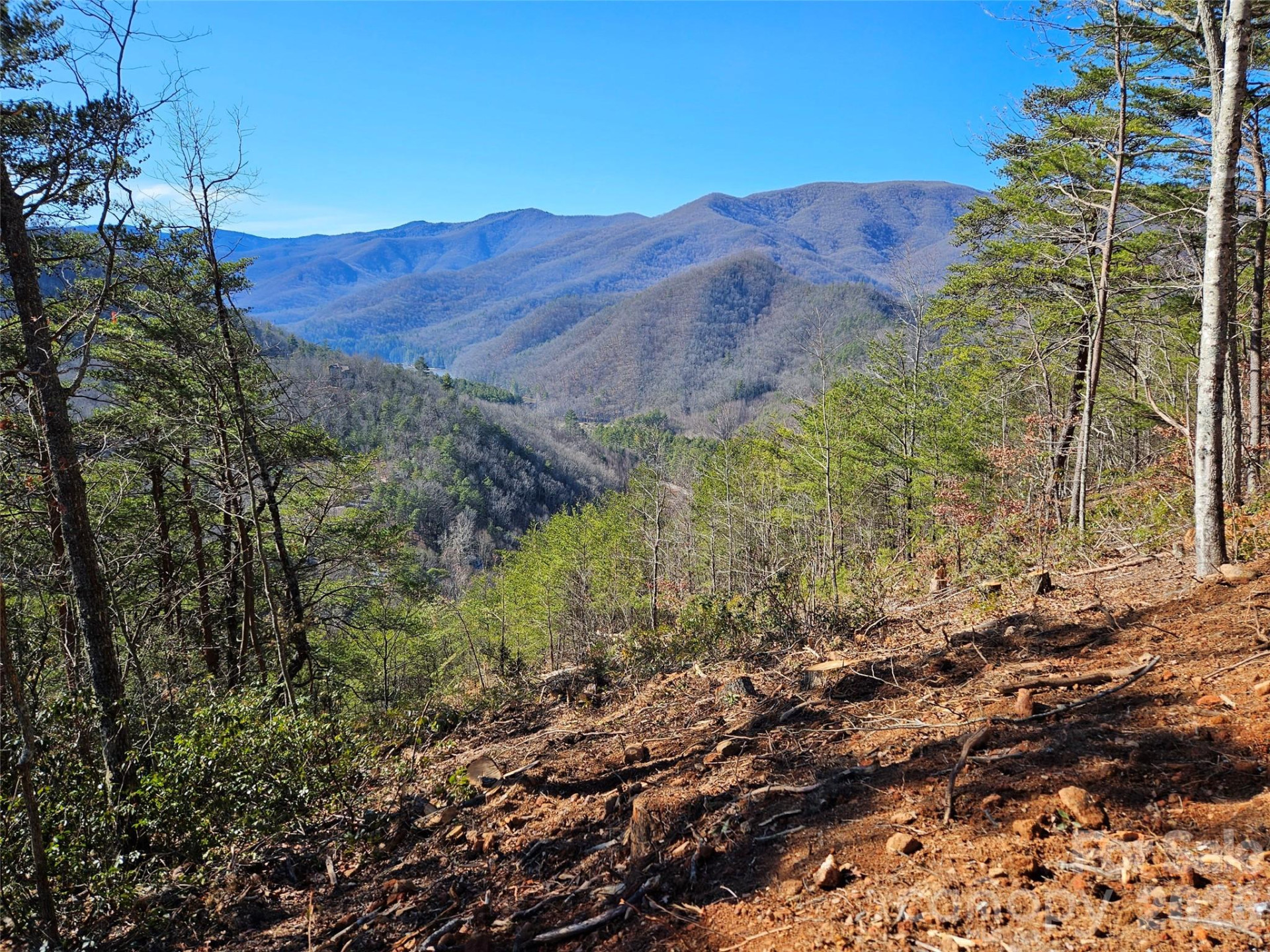 000 Blue Vista Road - Photo 23