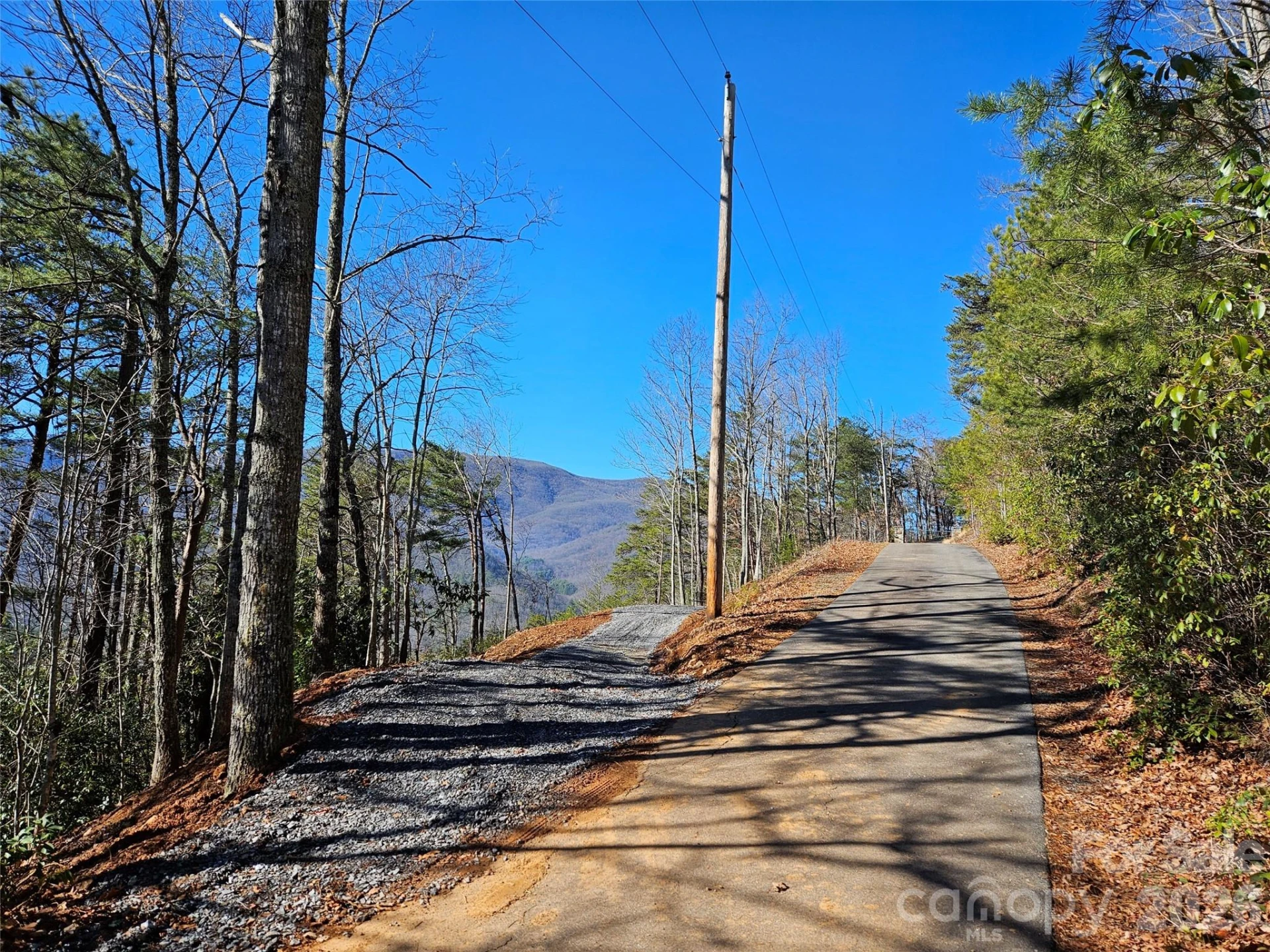 000 Blue Vista Road - Photo 5