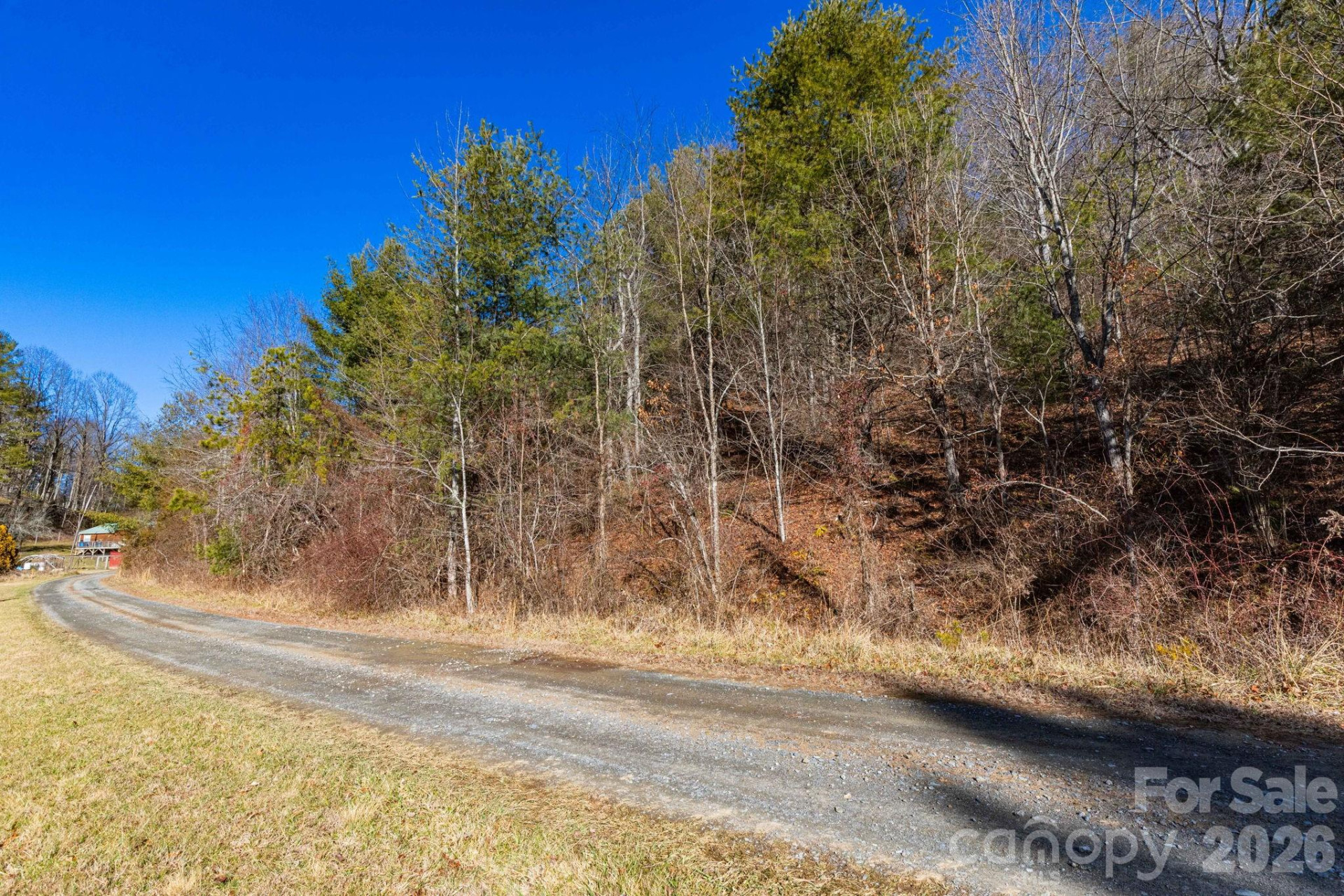 999 Rosalie Lane #6 - Photo 2