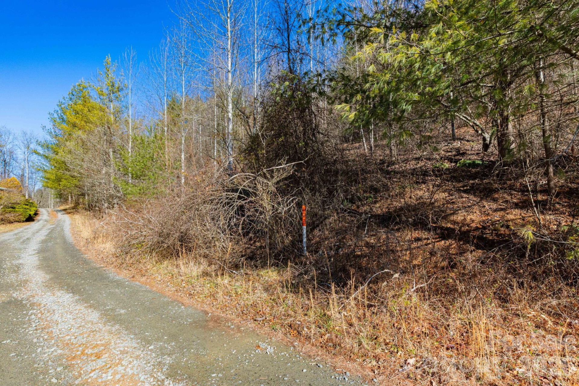 999 Rosalie Lane #6 - Photo 3