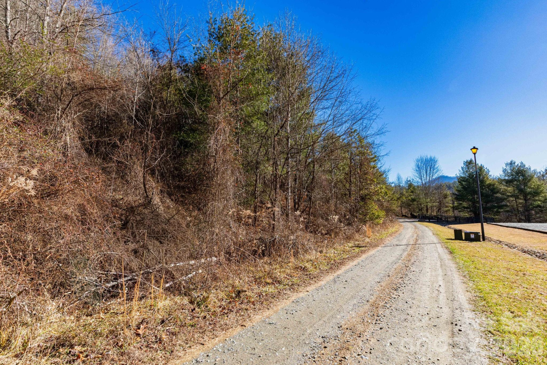 999 Rosalie Lane #6 - Photo 4