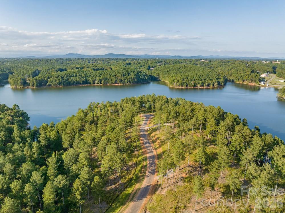 2281 Crestone Way #233 - Photo 8